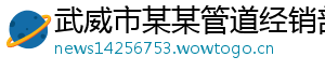 武威市某某管道经销部